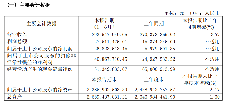 灿瑞科技半年度亏损扩大，营收微增面临电源管理芯片价格与利润率压力，业绩大幅下滑风险警示